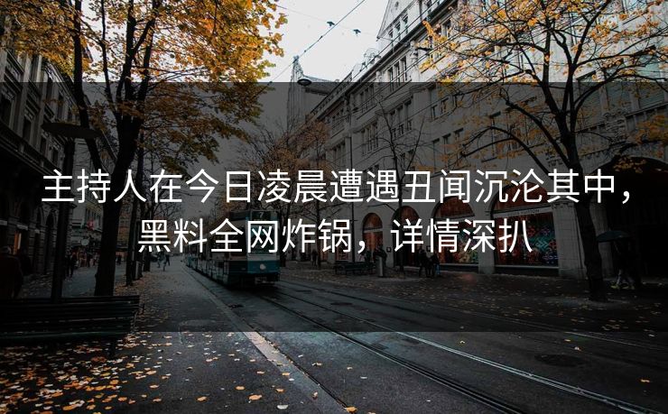 主持人在今日凌晨遭遇丑闻沉沦其中，黑料全网炸锅，详情深扒