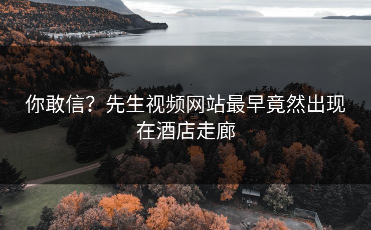 你敢信？先生视频网站最早竟然出现在酒店走廊