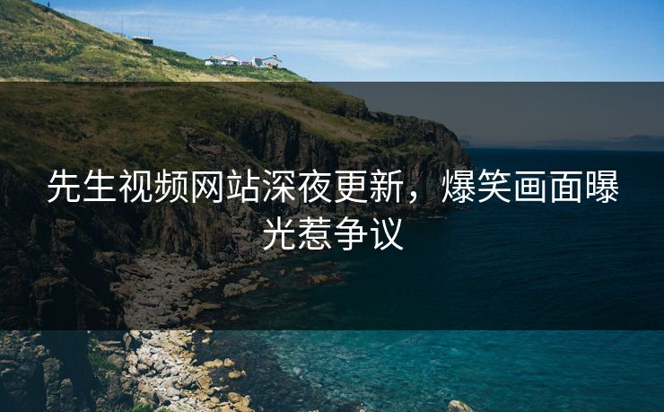 先生视频网站深夜更新，爆笑画面曝光惹争议