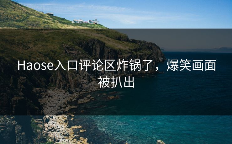 Haose入口评论区炸锅了，爆笑画面被扒出