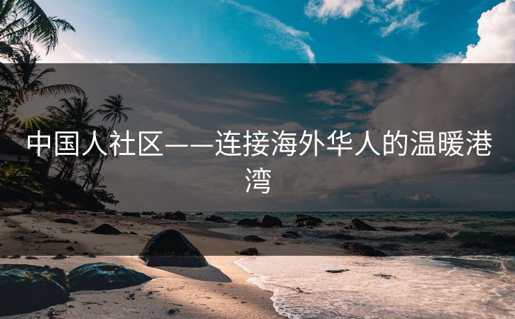 中国人社区——连接海外华人的温暖港湾
