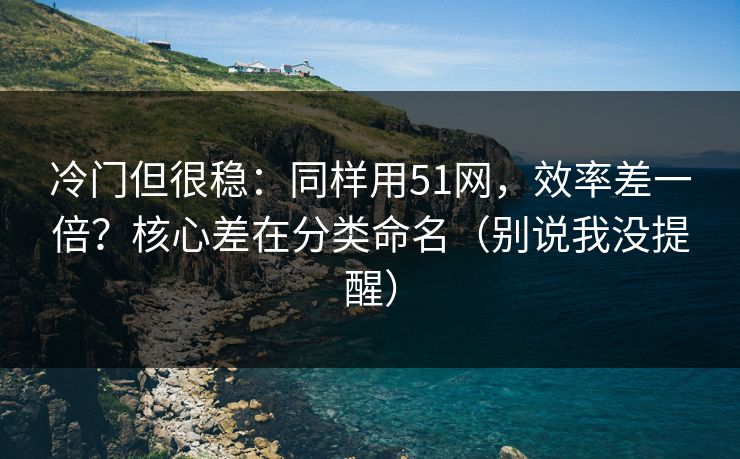 冷门但很稳：同样用51网，效率差一倍？核心差在分类命名（别说我没提醒）