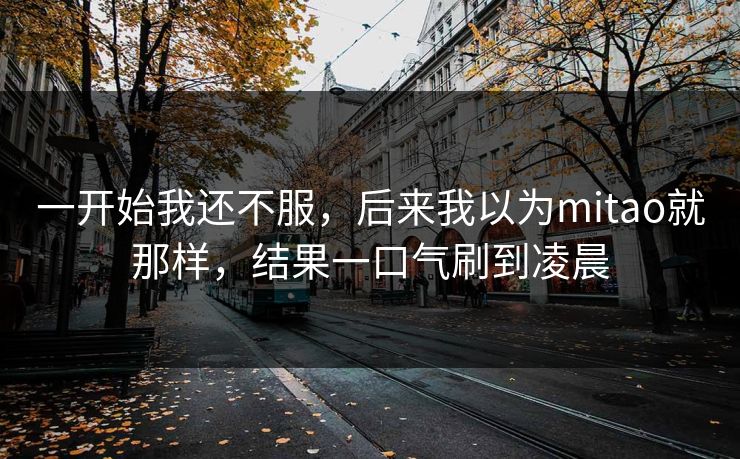 一开始我还不服，后来我以为mitao就那样，结果一口气刷到凌晨