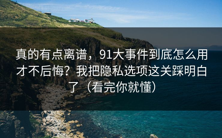 真的有点离谱，91大事件到底怎么用才不后悔？我把隐私选项这关踩明白了（看完你就懂）